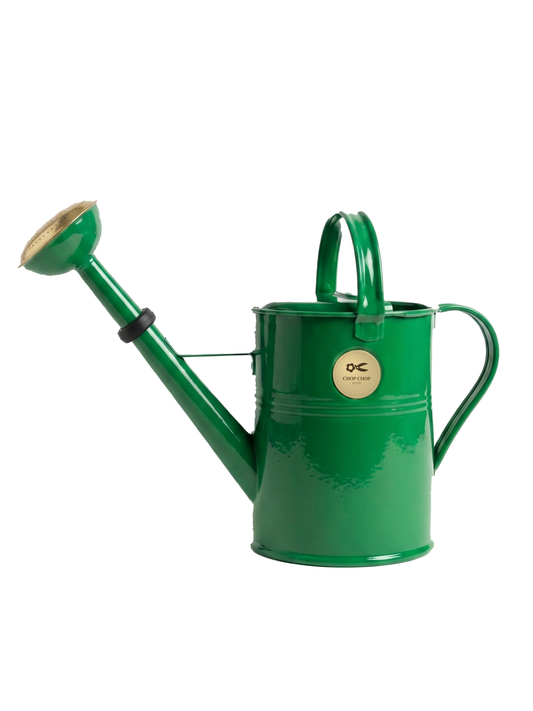 Watering Can Dragon Tree 5L (Green)