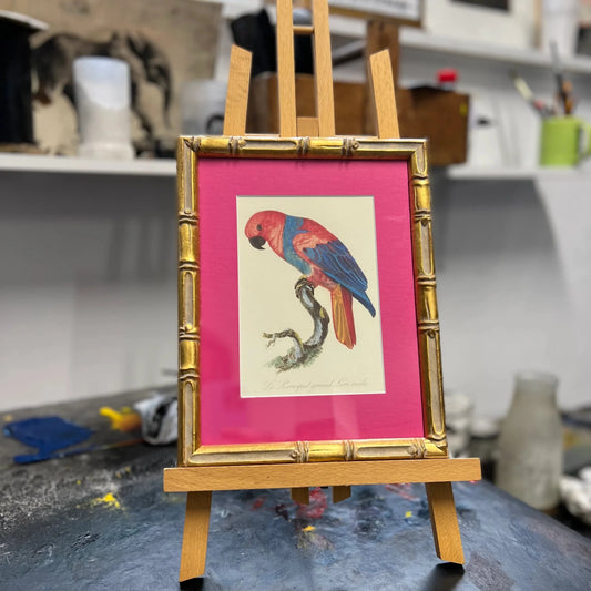 Bamboo Frame "Parrot" with Pink Passepartout